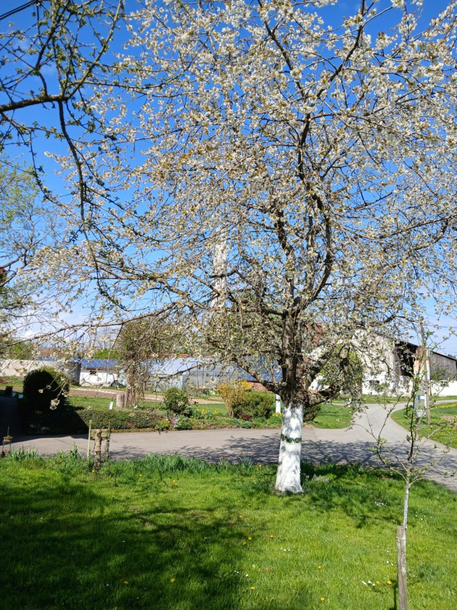 Landgasthof Zum Seehof Rottweil Buitenkant foto