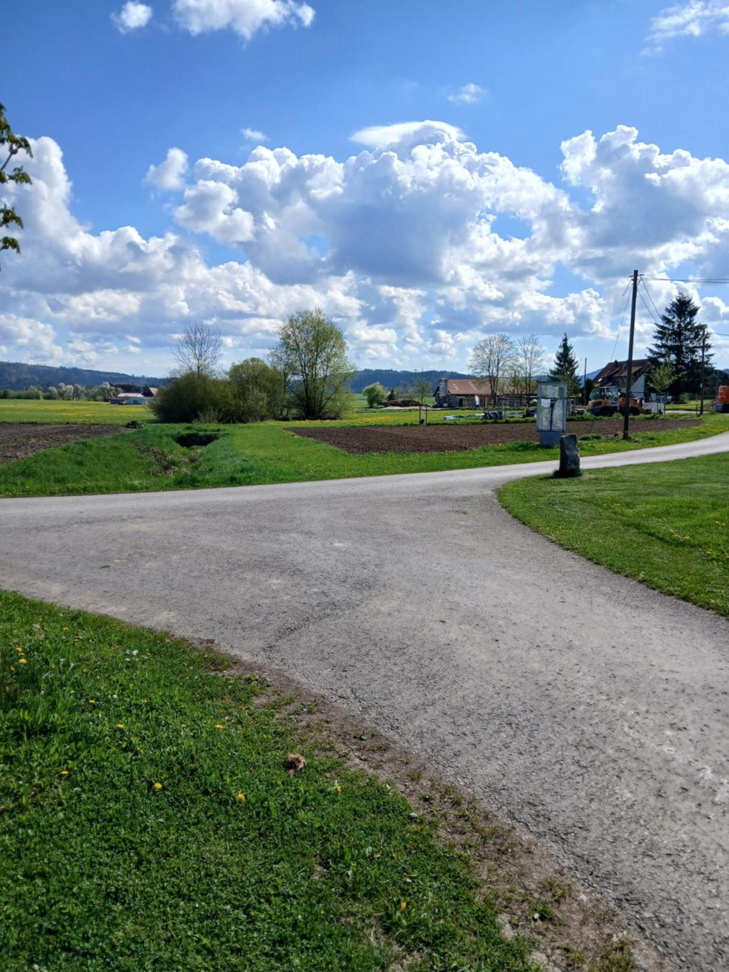 Landgasthof Zum Seehof Rottweil Buitenkant foto