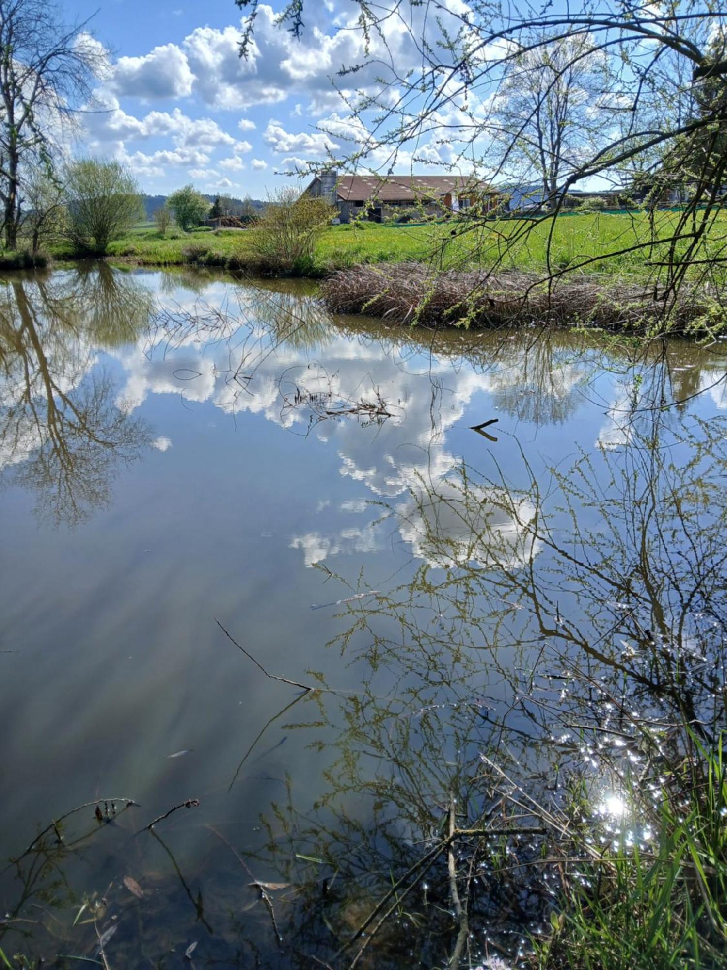 Landgasthof Zum Seehof Rottweil Buitenkant foto